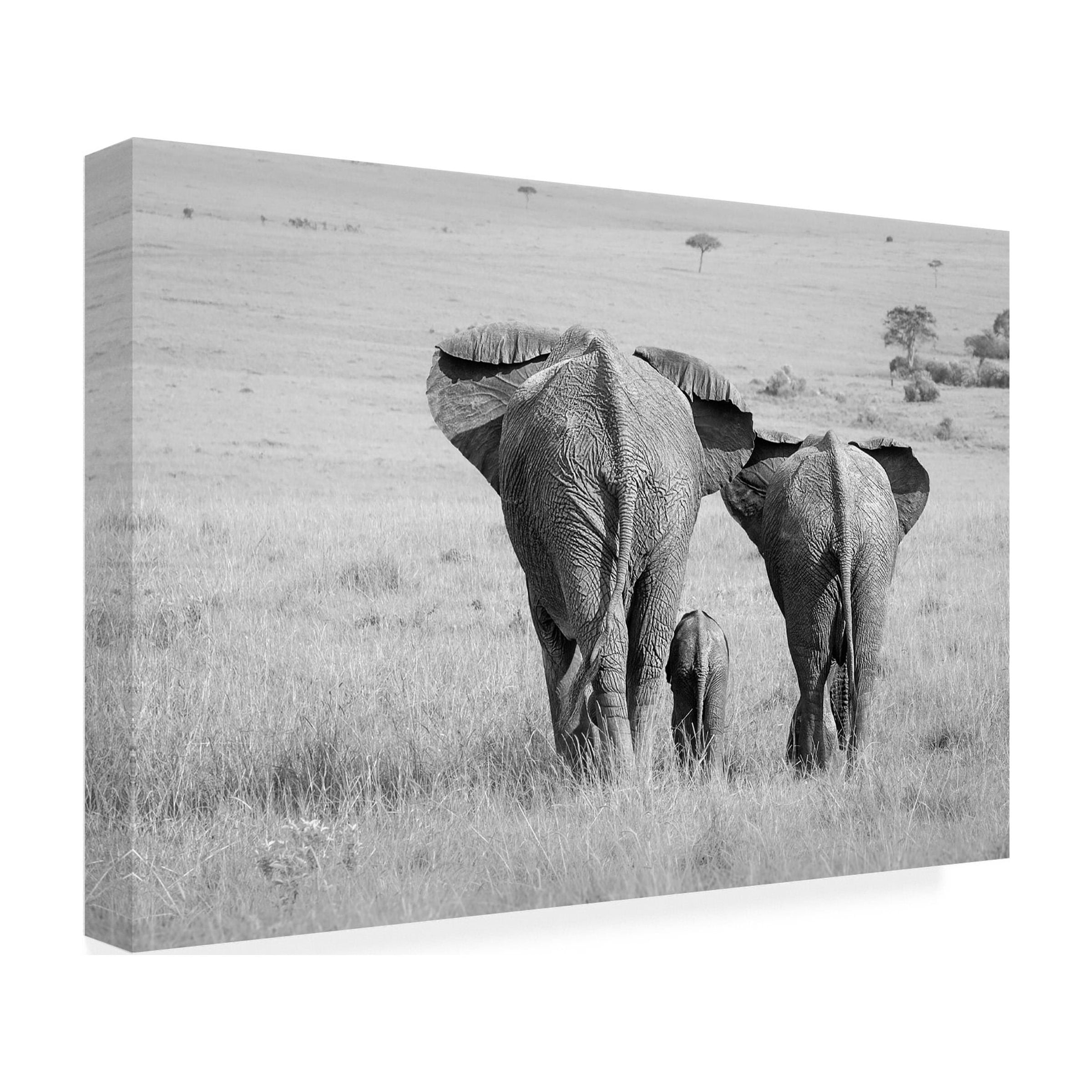 Ali Khataw 'Three Butts!' Canvas Art
