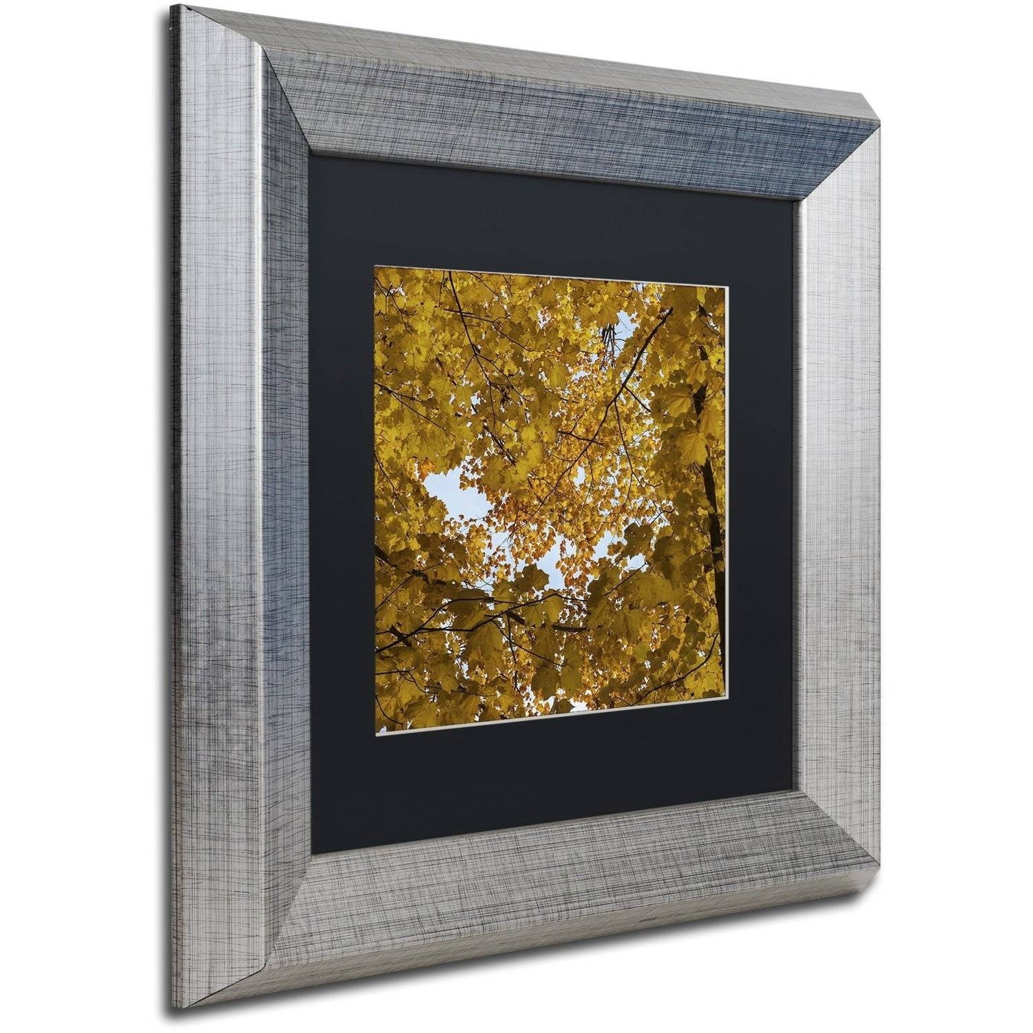 Trademark Fine Art "Golden Canopy of Autumn" Canvas Art by Kurt Shaffer, Black Matte, Silver Frame