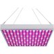 thumbnail image 1 of Luz LED para cultivo de plantas de interior/frutas/verduras de 45 W kaili Sencillez, 1 of 5