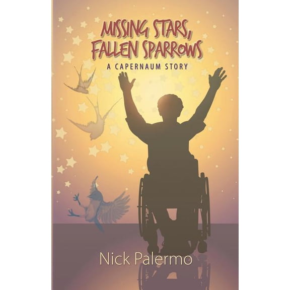 Missing Stars, Fallen Sparrows, (Paperback)