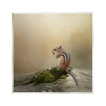 Stupell Chipmunk Peaceful Woodland Nature Animals & Insects Photography Wall Plaque Unframed Art Print Wall Art