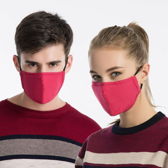 Janrevotw 2 Adjustable Masks, Anti-Smog And Dust-Proof, Breathable Cotton, Suitable For Men And Women, Autumn And Winter Protection, Pm2.5 Activated Carbon Masks