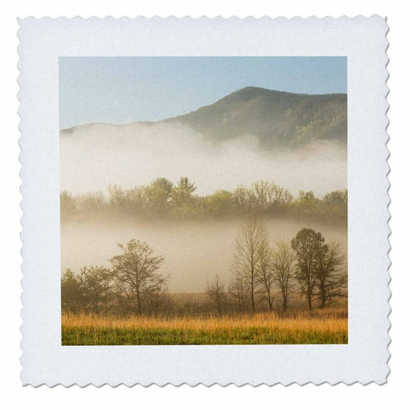 3dRose, Foggy morning, Cades Cove, Great Smoky Mountains NP, Tennessee, 10x10 inch quilt square