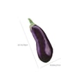 thumbnail image 3 of Big 30 Inch Purple Eggplant Plush Pillow Simulation Vegetable Stuffed Toy Soft Cute Long Body Doll Girls Birthday Bedroom Decor, 3 of 6
