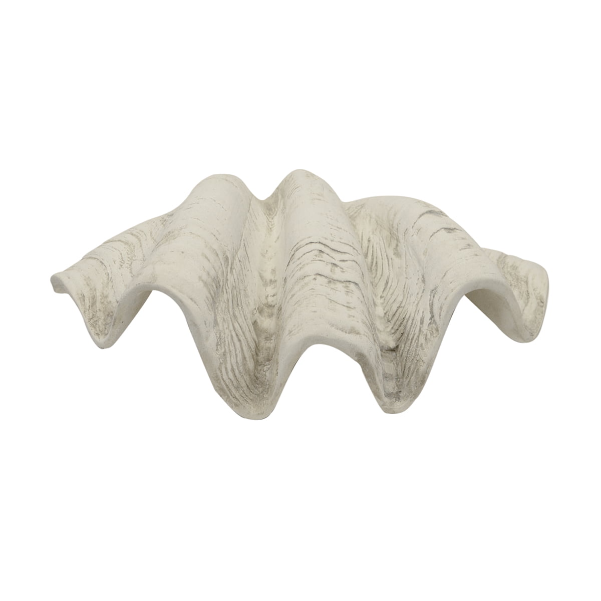 Giant Clam Shell 22 Inch White Gray Clamshell Seashell