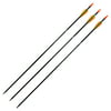 "Safari Choice Archery 29"" Hunting Arrows For Youth, 3pc pack"