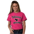 thumbnail image 4 of Delaware Cute Bald Eagle Souvenir Men's Graphic T Shirt Tees Brisco Brands M, 4 of 6