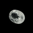 thumbnail image 4 of Certified Real 1 Carat White Zircon Oval Shape Faceted 7x5 mm Loose Gemstone, 4 of 6