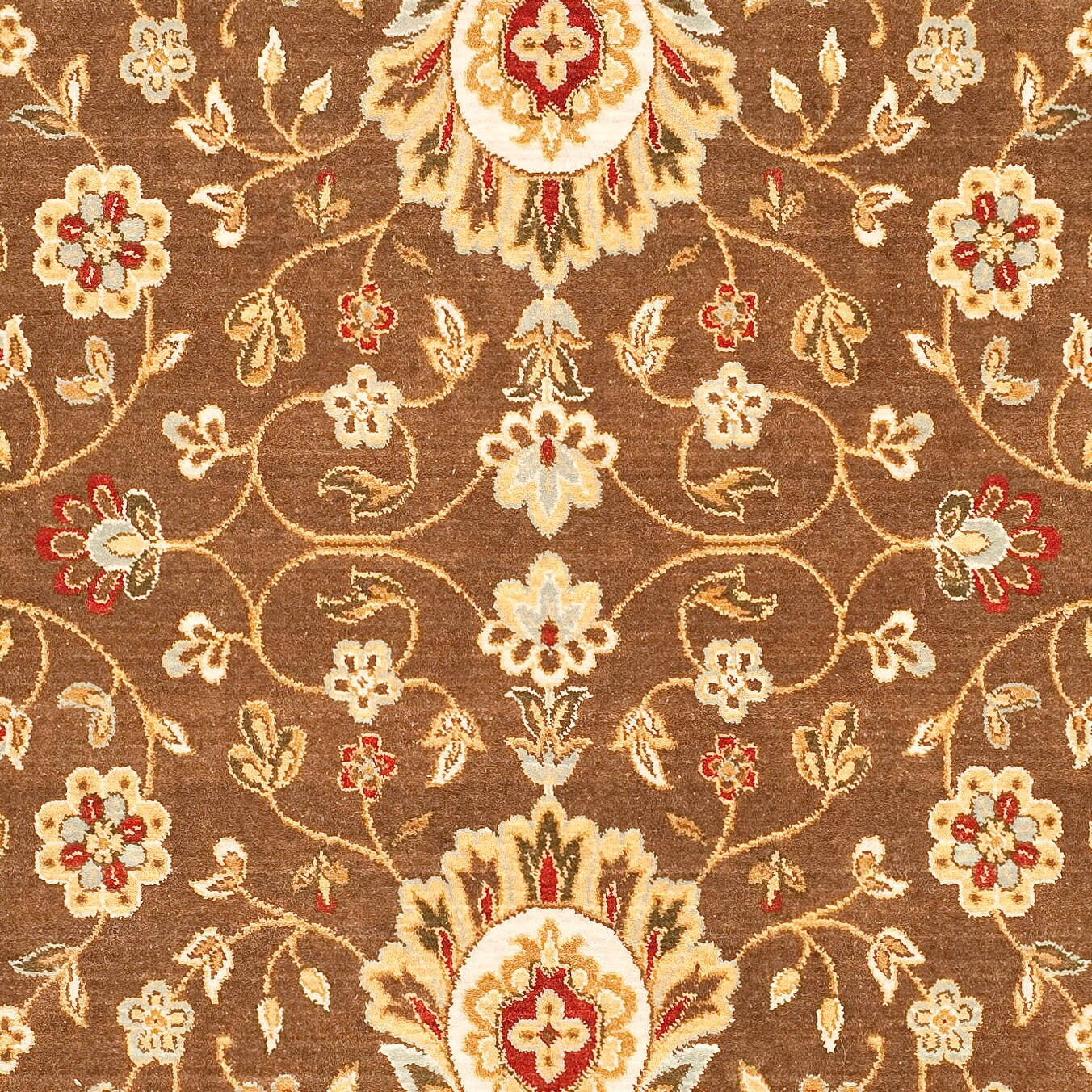 SAFAVIEH Tuscany Cory Floral Bordered Wool Area Rug, Brown/Light Blue, 8' x 11'2"
