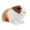 Yellow, variant on VMWMSSR Animal Figurine Ornament, Realistic Guinea Pig Statue, Faux Fur Small Rodent Decor Model For Shelf Table Home Cabinet Decor(Light Gray-4.72")