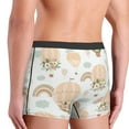 thumbnail image 5 of Balery Air Balloon and Flower Men's Boxer Briefs, Soft and Breathable Cotton Underwear with nylon Waistband-Small, 5 of 9