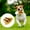 B, variant on BotaniNest Pet Plush Chew Toy Animal Play Squeak Toy Plush Puppy Toy Donkey Chew Squeak Puppy Pet Supplies