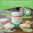 thumbnail image 3 of Return Healthy Phospholipid Synergy Powder | Antioxidant Powder for Cellular Repair | Brain Supplements for Memory and Focus | Liver Detox Supplements with an Advance Cleansing Formula | 270 g, 3 of 9