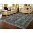 thumbnail image 1 of Amer Rug DAZ40609 Dazzle Slate Hand-Knotted Area Rug - 6 x 9 ft., 1 of 1
