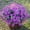 Purple, variant on HAWEE Artificial Faux Plants Flowers Outdoor Spring Decoration, 12 Bundles Fake Silk Colorful Daisy Eucalyptus Realistic UV Resistant for Outside Home Planter Porch Patio Window Yard Decor