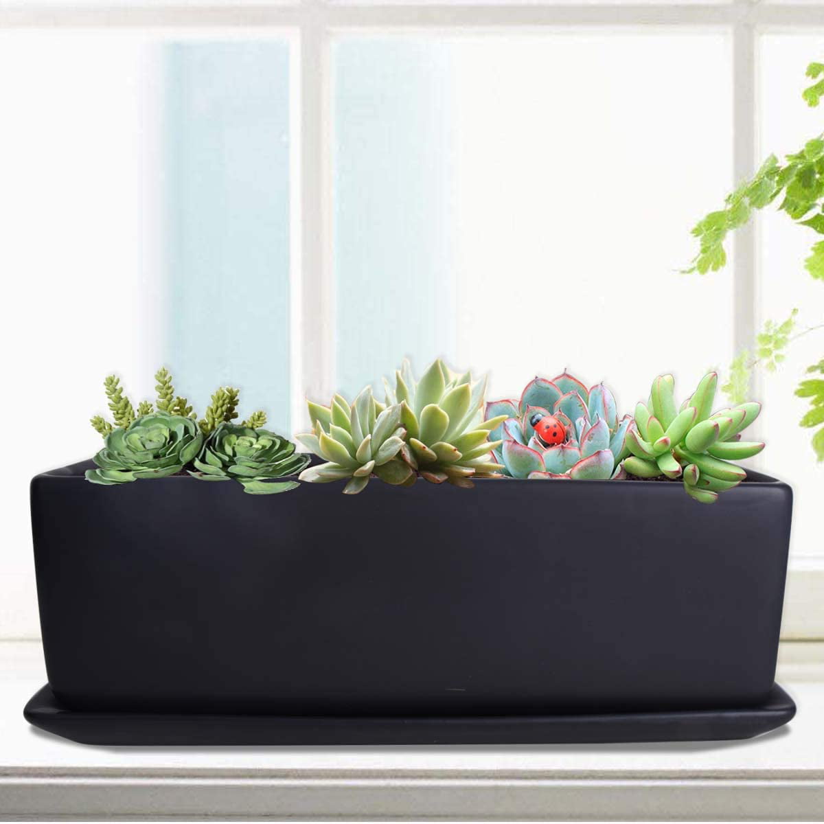 Window Box with Saucer,Office Desktop Potted Stand,Black,VF-0135B Vencer 12 Inch Modern Minimalist Ceramic Succulent Planter Pot