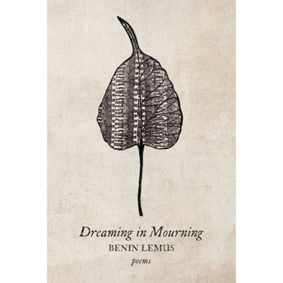 Pre-Owned Dreaming in Mourning (Paperback) 195295245X 9781952952456