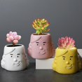 thumbnail image 4 of Decorative Flower Pot Reception Room Balcony Garden Yard Exquisite Plants Pot, 4 of 5