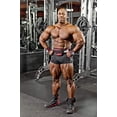 thumbnail image 2 of SCHIEK NYLON LIFTING BELT-4 3/4 INCH, 2 of 2