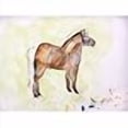 thumbnail image 2 of Betsy Drake DM935 Shetland Pony Doormat 18 x 26, 2 of 2