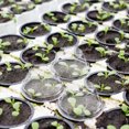 thumbnail image 3 of Shisuyan 50 Pcs Couvertures d'Isolation Pratiques pour Plantes Hydroponiques Fournitures de Botanique (Transparent), 3 of 8