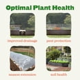 thumbnail image 2 of Epic Gardening 5-in-1 Galvanized Raised Garden Bed Kit, 29" Tall Food-Safe Metal Planter Box - Mist Green, 2 of 9