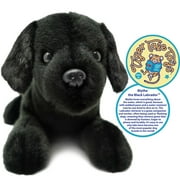 Blythe the Black Lab | 12 Inch Stuffed Animal Plush | By TigerHart Toys