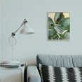 thumbnail image 2 of Stupell Industries Potted Plant Study Full Green Leaves Grey Framed, 16 x 20, Design by Annie Warren, 2 of 7