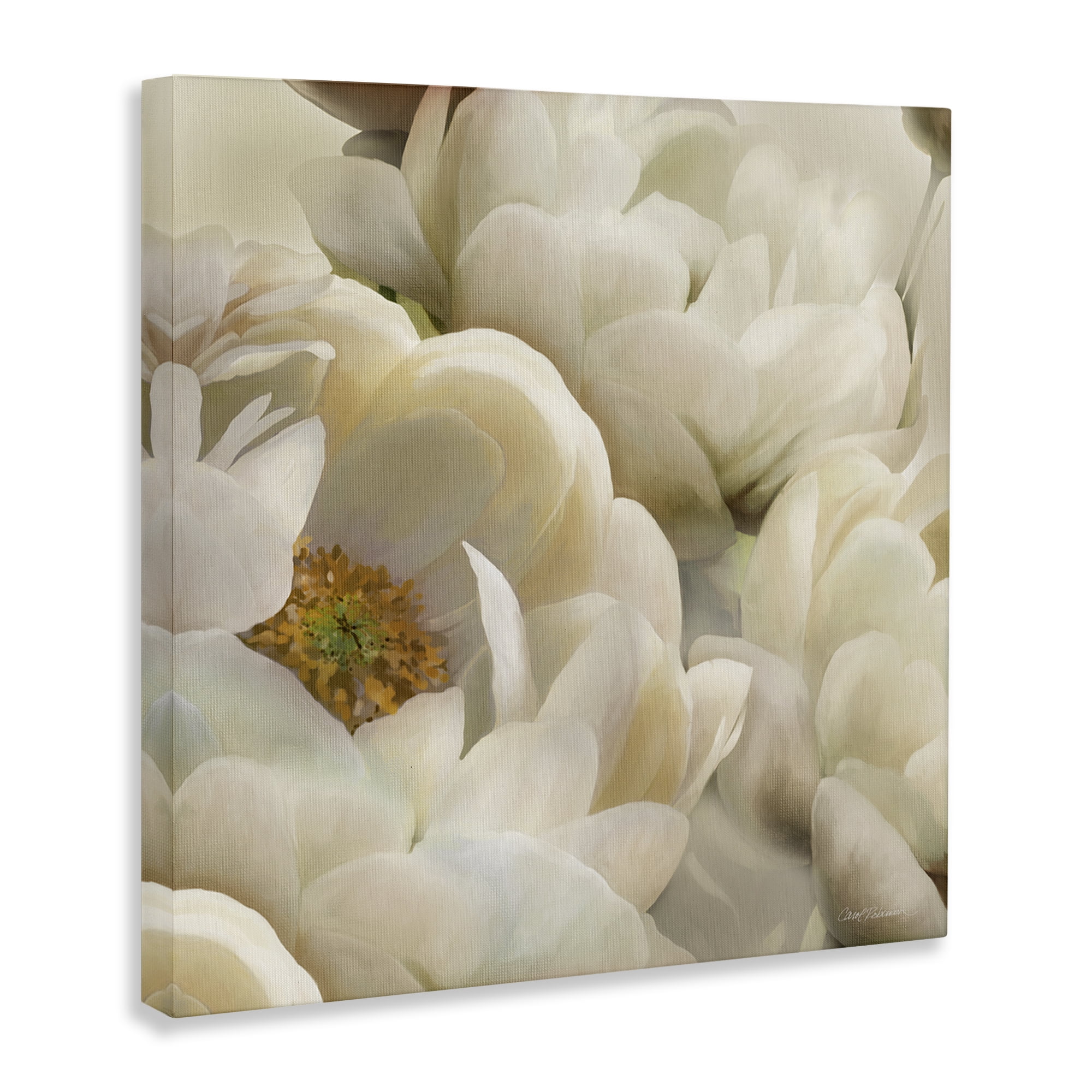 Stupell Industries Ivory Magnolia Petals Plants & Flowers Photography Wrapped Canvas Art Print Wall Art, 30 x 30