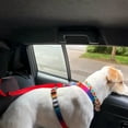 thumbnail image 4 of OYDWEI Secure  Adjustable  Comfortable Nylon Backseat Safety Harness Collar: Essential and Versatile Pet Accessory for Ensuring Your Furry Friend‘s Well-being and Safety, 4 of 7