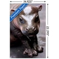 thumbnail image 3 of Cute Pygmy Hippopotamus Wall Poster with Push Pins, 14.725" x 22.375", 3 of 5