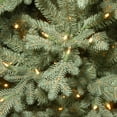 thumbnail image 3 of National Tree Company 7.5 ft Buckingham Blue Spruce Tree with Clear Lights, 3 of 3