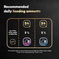 thumbnail image 6 of Cesar 3.5 oz Gourmet Filets Beef Wet Food Variety Pack (Pack of 8), 6 of 8