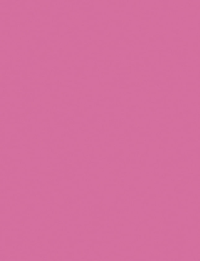 Staples 490935 Pastel Colored Copy Paper 8 1/2-Inch X 11-Inch Pink 500/Ream 14779