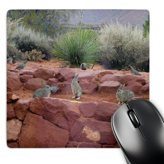 3dRose, Three Bunny Rabbits sitting on red rock in Kayenta Utah, MousePad