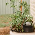 thumbnail image 3 of Tumbleweed Worm Feast In Ground Home Garden Farm Recycle Organic Waste Composter, 3 of 8