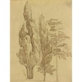 thumbnail image 2 of Franz Johann Heinrich Nadorp 15x18 Black Ornate Wood Framed Double Matted Museum Art Print Titled - Album with Views of Rome and Surroundings, Landscape Studies, Page 15A: Trees, 2 of 5