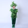 thumbnail image 3 of Disfraces de cosplay para niños, disfraces de baile, árboles verdes, ropa de actuación, disfraz de Halloween para niños, plantas, cosplay, 3 of 5