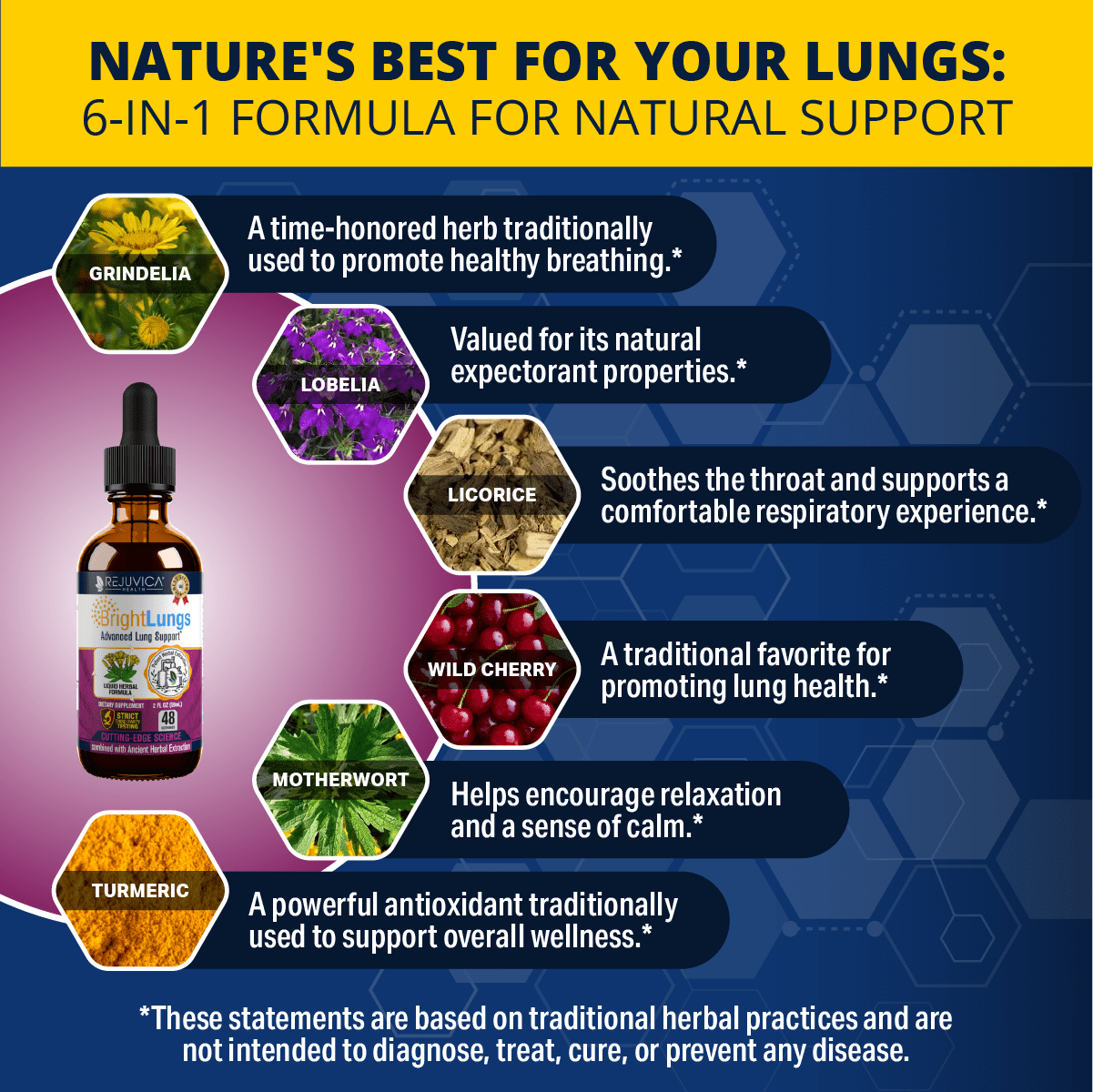 Rejuvica Health Bright Lungs 2 fl oz - Lung Detox Support Supplement - Grindelia, Lobelia, & More!