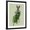 Black Frame, variant on Art.com Lady Bella Rabbit Taking Tea Art Print by Fab Funky, 12" x 16"