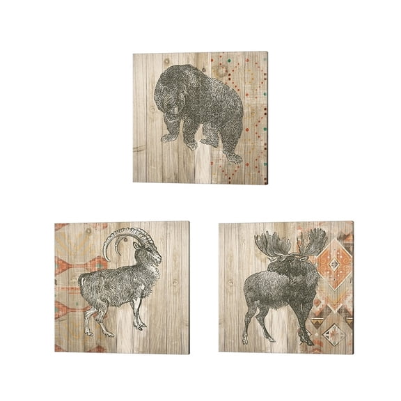 Metaverse Wild Apple Portfolio 'Natural History Lodge Southwest B' Canvas Art (Set of 3)