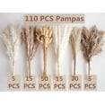 thumbnail image 2 of ZHUYING 110 PCS Dried Pampas Grass Bouquet, Boho Table Decor, Bunny Tails Dried Flowers, Brown Pompas, White Pampas Grass for Wedding, Home, Rustic Party, Baby Shower Decorations, 2 of 7