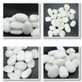 thumbnail image 4 of Koltose by Mash - Polished White Pebbles, 1”-2” inch Natural Decorative Stones, 5 lbs, 4 of 7