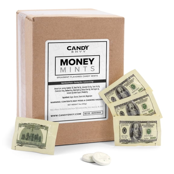 Money Mints, 100 Pack, 2 Mints Per Pack, Spearmint Flavored