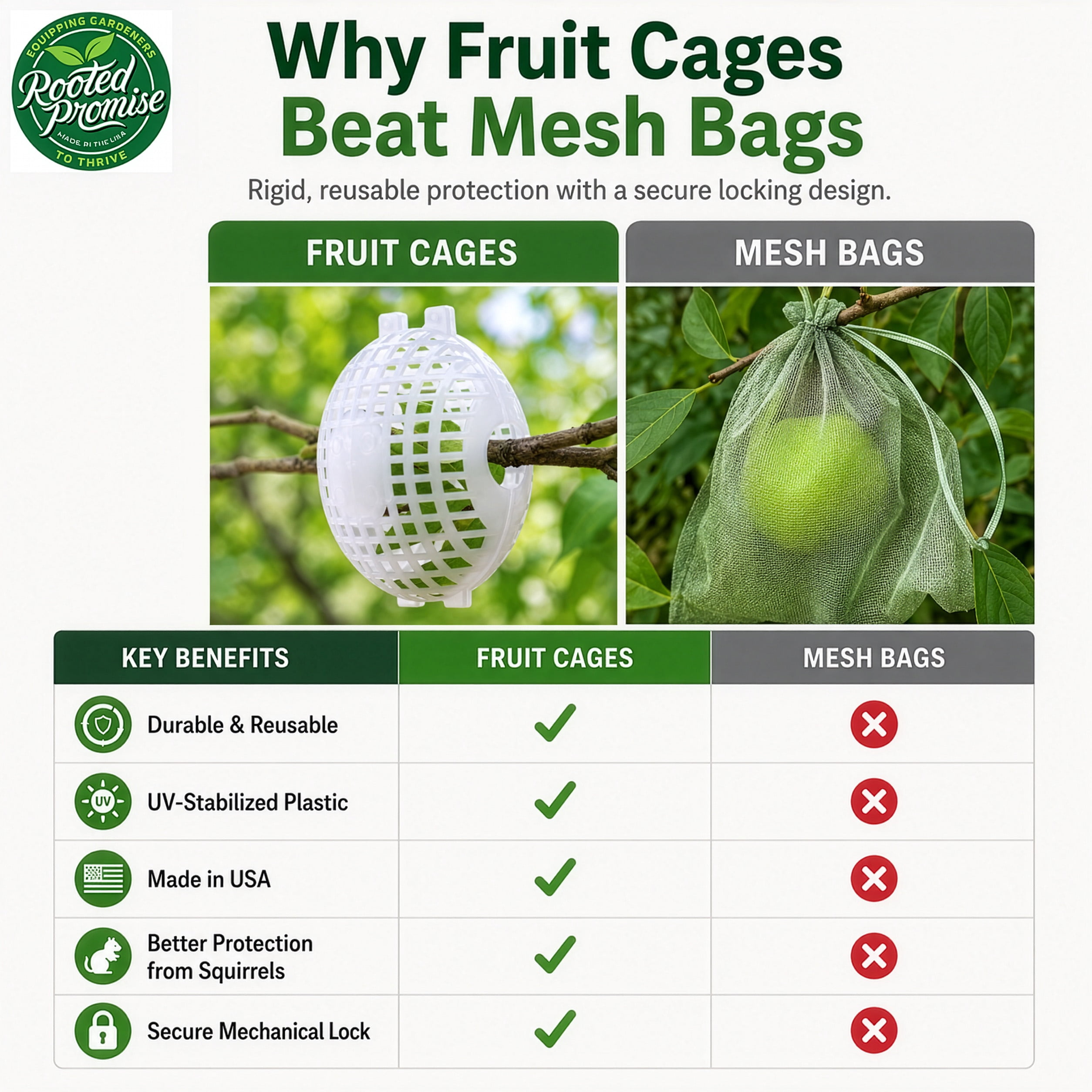 Rooted Promise 12 Pack Small Fruit Protection Cages 4 x 5 inch, Perfect for protecting fruit trees - Made in the USA