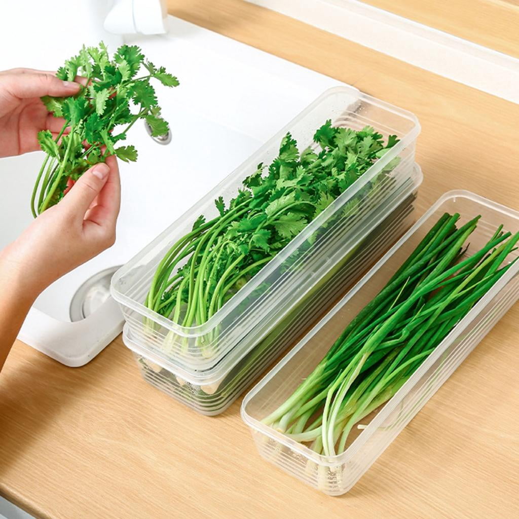 Airtights Food Storage Box Keep Vegetables Freshing Clear Fridge Organizers for Small Space Kitchen Supplies