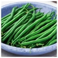 thumbnail image 4 of Everwilde Farms - 100 Blue Lake 274 Green Bush Bean Seeds - Gold Vault Jumbo Bulk Seed Packet, 4 of 5