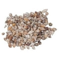 thumbnail image 6 of Mixed Sea Shells, Non Porous Tiny Sea Shells 1 Can For  Fish, 6 of 8