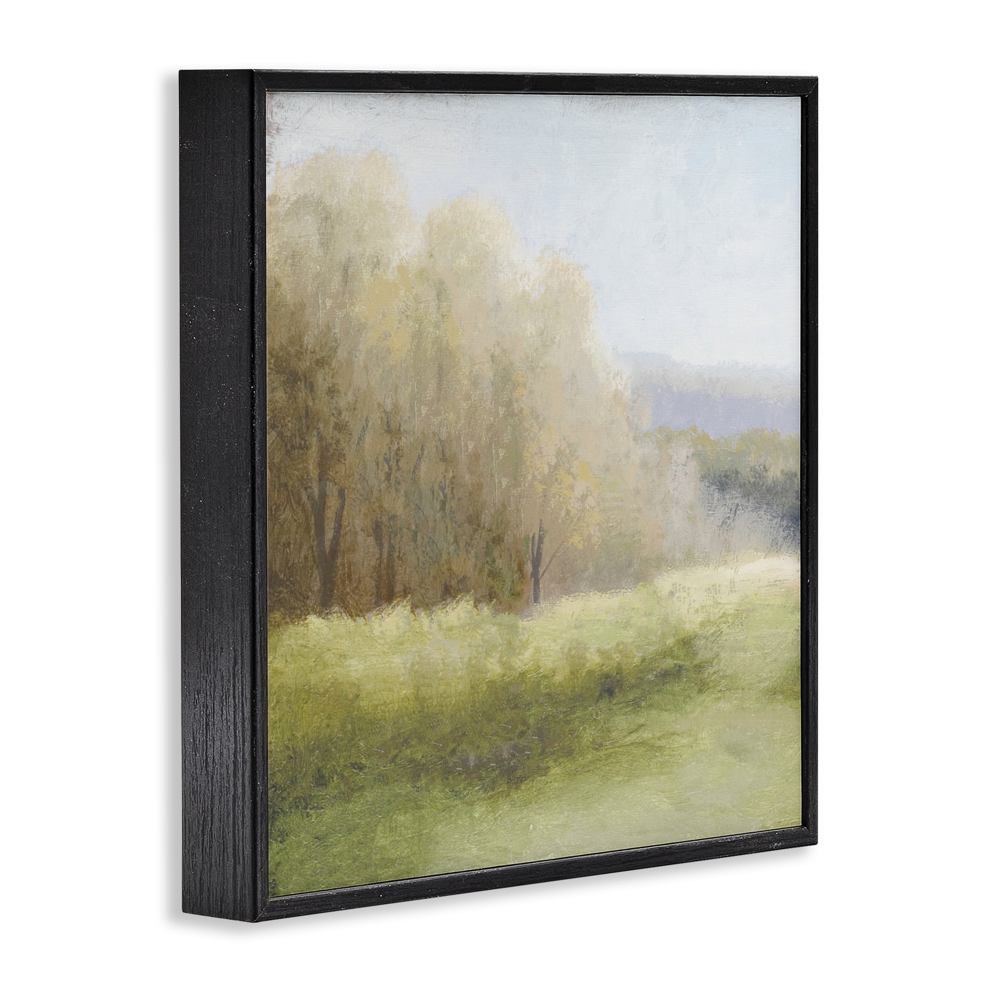 Stupell Industries Within Familiar Place Meadow Black Framed Giclee Art, design by Michael Marcon