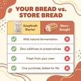 thumbnail image 5 of Sourdough Starter Culture – Dehydrated Wild Dry Yeast for Baking Homemade Artisan Bread – Organic, Non-GMO, Fresh, Long-Lasting & Beginner-Friendly (5 Grams), 5 of 7